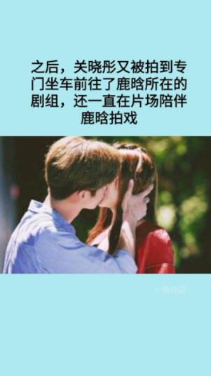 凤凰不好惹